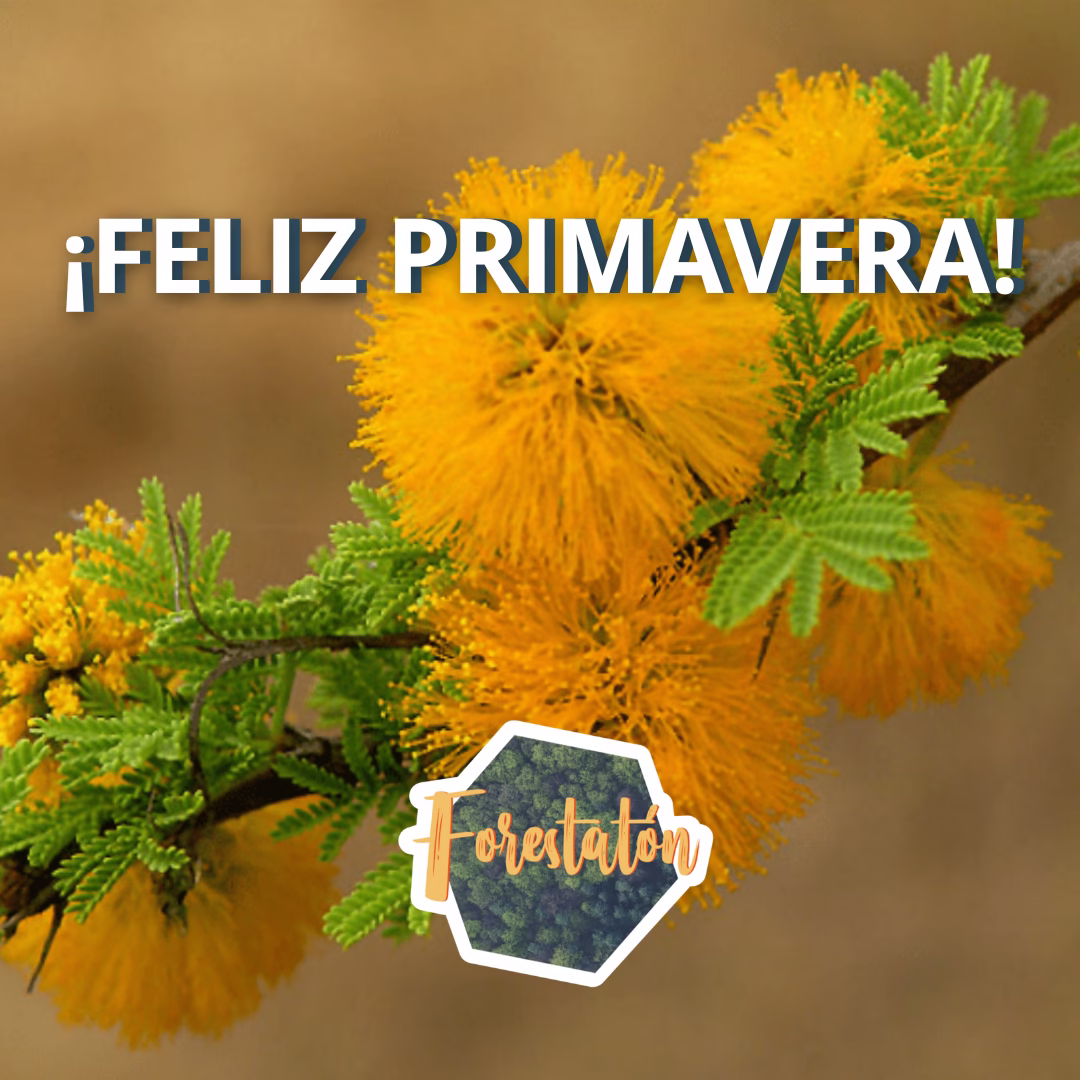 FELIZ PRIMAVERA